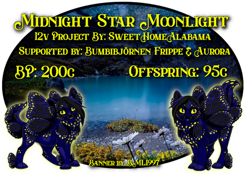 midnight star moonlight.png