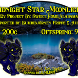 midnight star moonlight