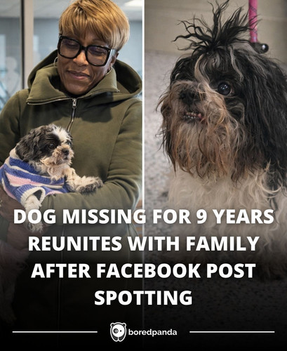DOG MISSING FOR 9 YEARS REUNITES WITH FAMILY AFTER FACEBOOK POST SPOTTING.jpg