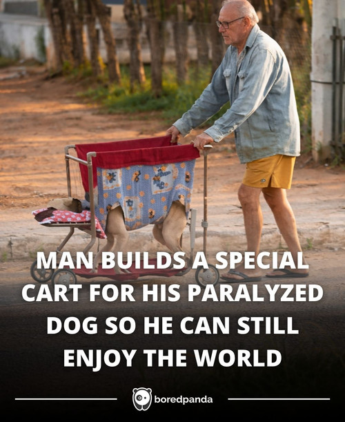 MAN BUILDS A SPECIAL CART FOR HIS PARALYZED DOG SO HE CAN STILL ENJOY THE WORLD.jpg