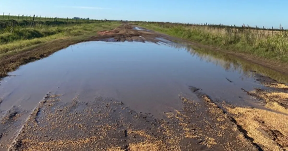 Trabajo conjunto entre La Pampa y Buenos Aires para reparar un tramo del camino del Meridiano V