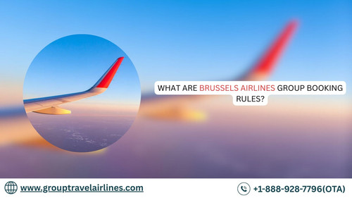 What Are Brussels Airlines Group Booking Rules?.jpg