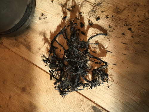 F4F19BCC 7044 40C5 B0F1 1FAF1CB3FD2A.jpg