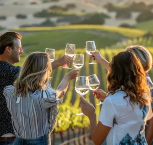 Wine Tour Mclaren Vale South Australia | Small Group Wine Tours Mclaren Vale  ||.jpg