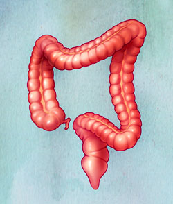 deenie leons inner health center colon cleanse treatment calabasas colon cleanse woodland hills colo.jpg