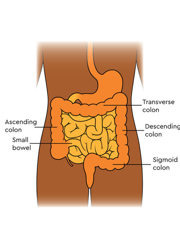 deenie leons inner health center colon hydrotherapy treatment colon cleanse studio city woodland hil.jpg