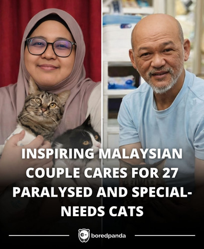 INSPIRING MALAYSIAN COUPLE CARES FOR 27 PARALYSED AND SPECIAL NEEDS CATS.jpg