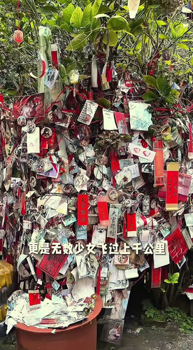 tgcf merch in the temple