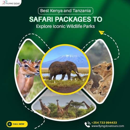 Best Kenya and Tanzania Safari Packages to Explore Iconic Wildlife Parks.jpg