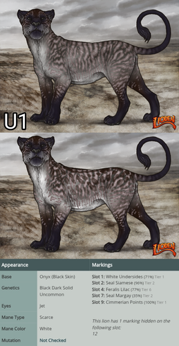 Untitled8 20260312192750.png