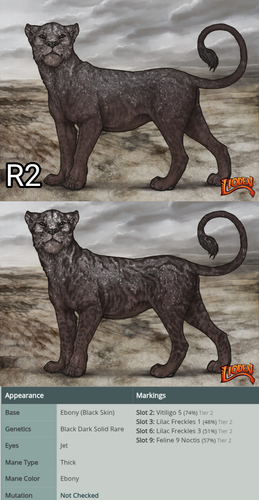 Untitled8 20260312192720.png