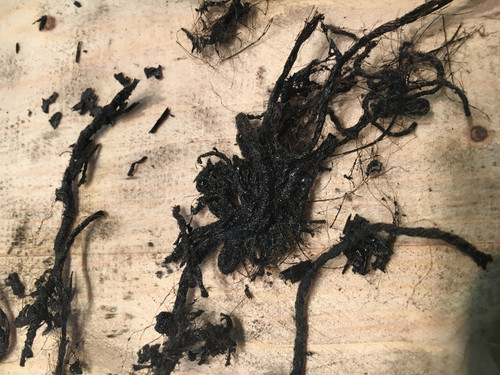 44DF9B03 A524 4DB4 BFA2 F9E76EB6DF8F.jpg