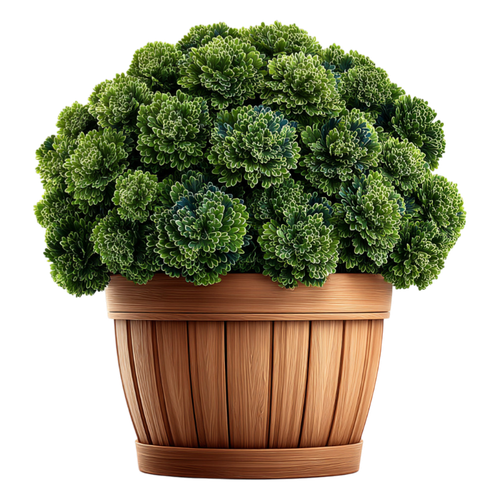 Sunday Stroll Element (30).png