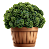 Sunday Stroll Element (30)