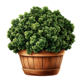 Sunday Stroll Element (32)