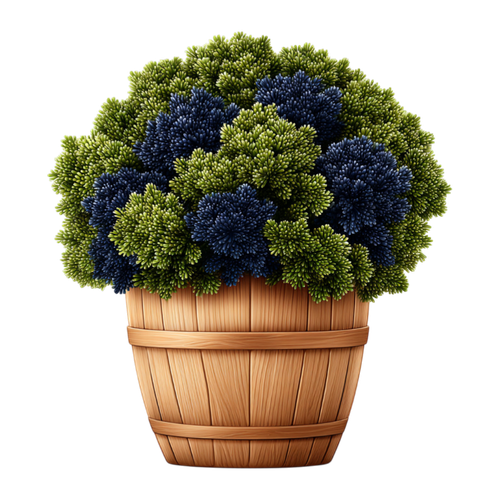 Sunday Stroll Element (31).png