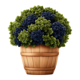 Sunday Stroll Element (31)