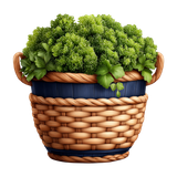 Sunday Stroll Element (33)