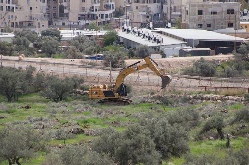 قوات الاحتلال تقتلع مئات الأشجار من أراضي المواطنين في المنطقة المحاذية لجدار الفصل في قرية دير قديس غرب رام الله...