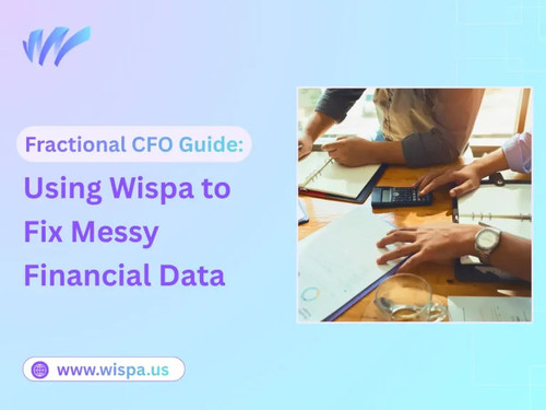 Fractional CFO Guide: Using Wispa to Fix Messy Financial Data.jpg