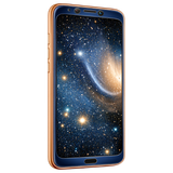 Sunday Stroll Element (95)