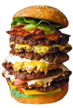 Schermafbeelding 2026 02 16 203654 removebg preview.png