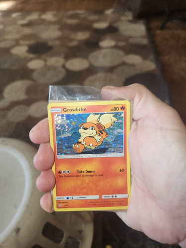 e29cf5643f8e.jpg