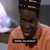 IMG 0793.gif