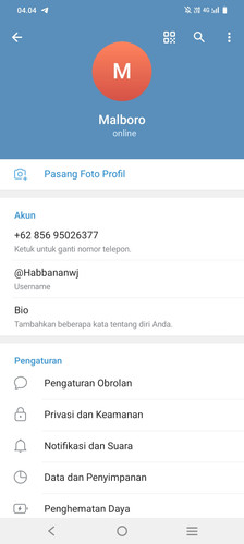 Screenshot 20260217 040401.jpg