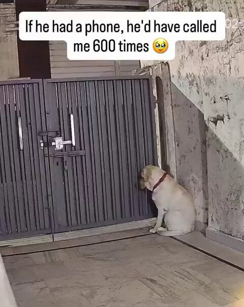 0sCmrGaDyVZU0Ezn.jpg