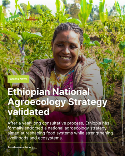 HBQ24 VW0AAO qD?format=jpg.jpg