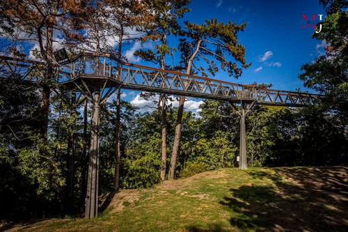 632259285 1285565750057291 5385990612173177306 n.jpg?stp=dst jpg s590x590 tt6& nc cat=109&ccb=1 7& n.jpg