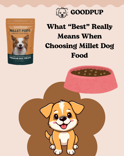 What “Best” Really Means When Choosing Millet Dog Food.png