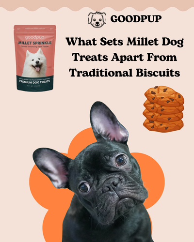What Sets Millet Dog Treats Apart From Traditional Biscuits.png