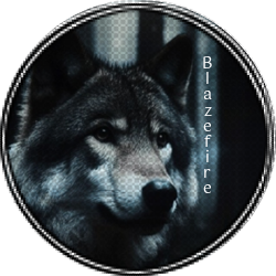 IMG 20260216 101110.png