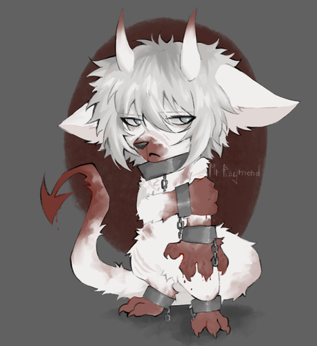 IMG 0074.png