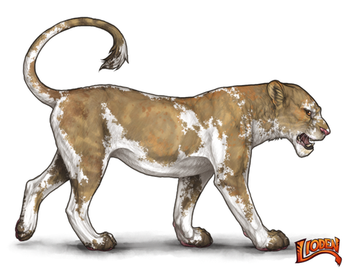 lioden wardrobe (14).png