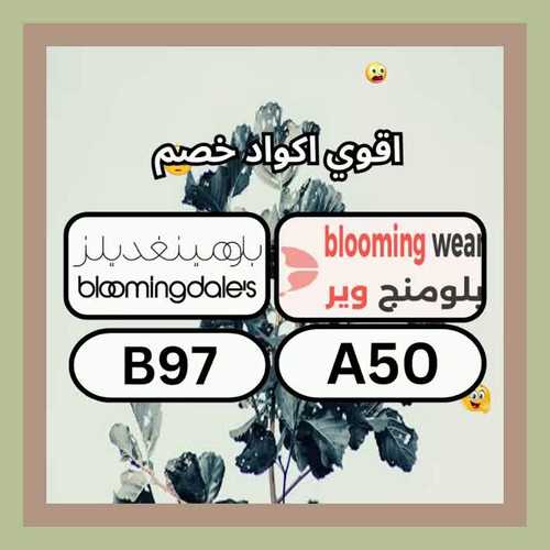 oB9MjUtvKzGW5kr9.jpg
