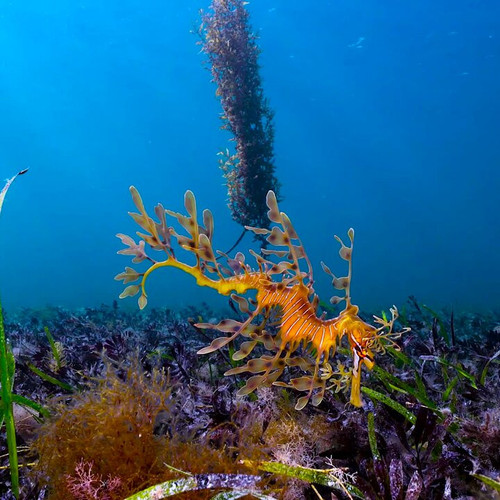 Ok3s3GS lxbzVwka.jpg