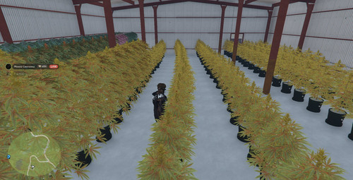 Discord zt8AmZAPY2.jpg