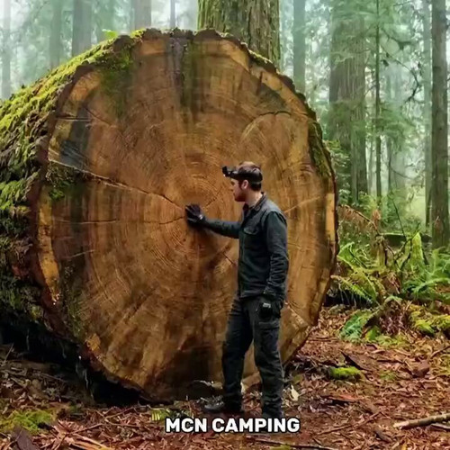 S3ujGamK6ZxWq4Pt.jpg