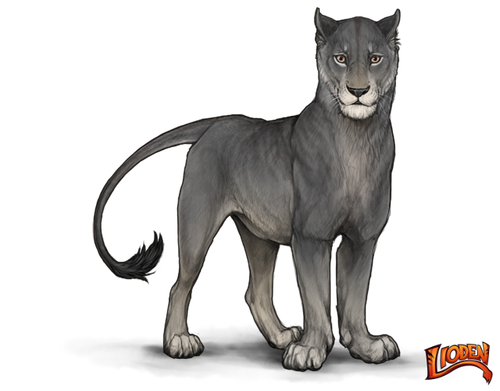 lioden wardrobe (17).png