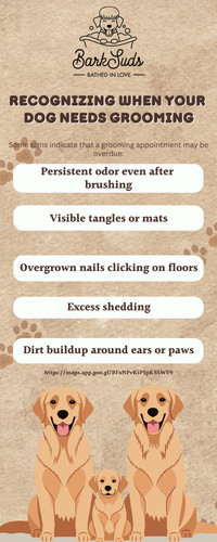 Mobile Dog Grooming Winter Park.jpg