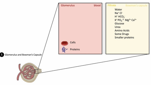 HBR Y 5WAAEqRw ?format=jpg.jpg