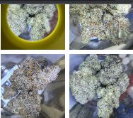 Thca Products | Twistedminds.net.jpg