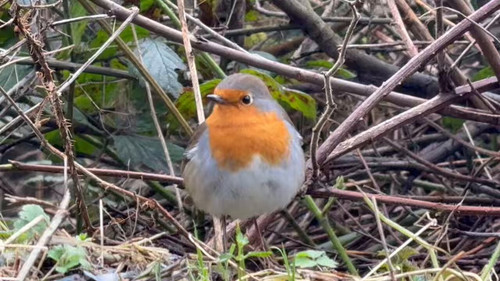 8UOeWVK2UdG nsZW.jpg