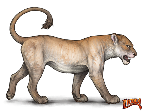 lioden wardrobe (23).png
