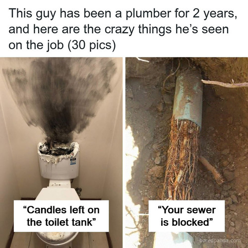 weird things collection plumber.jpg