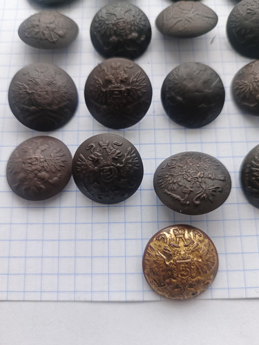 IMG 20260213 152218 834.jpg