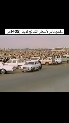 JQr9t3anvCuaLW6S.jpg